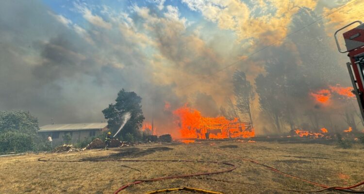 Declaran Alerta Roja para comuna de Yungay por incendio forestal que amenaza a 30 viviendas