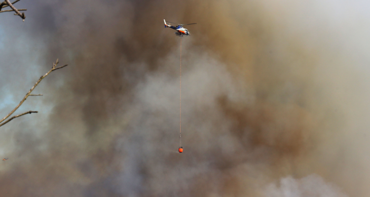 Incendios forestales por reunión de Bomberos