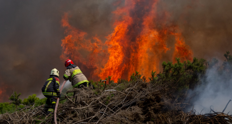Las 22 comunas de Chile en condición de ‘Botón Rojo’ y con peligro de sufrir incendios forestales