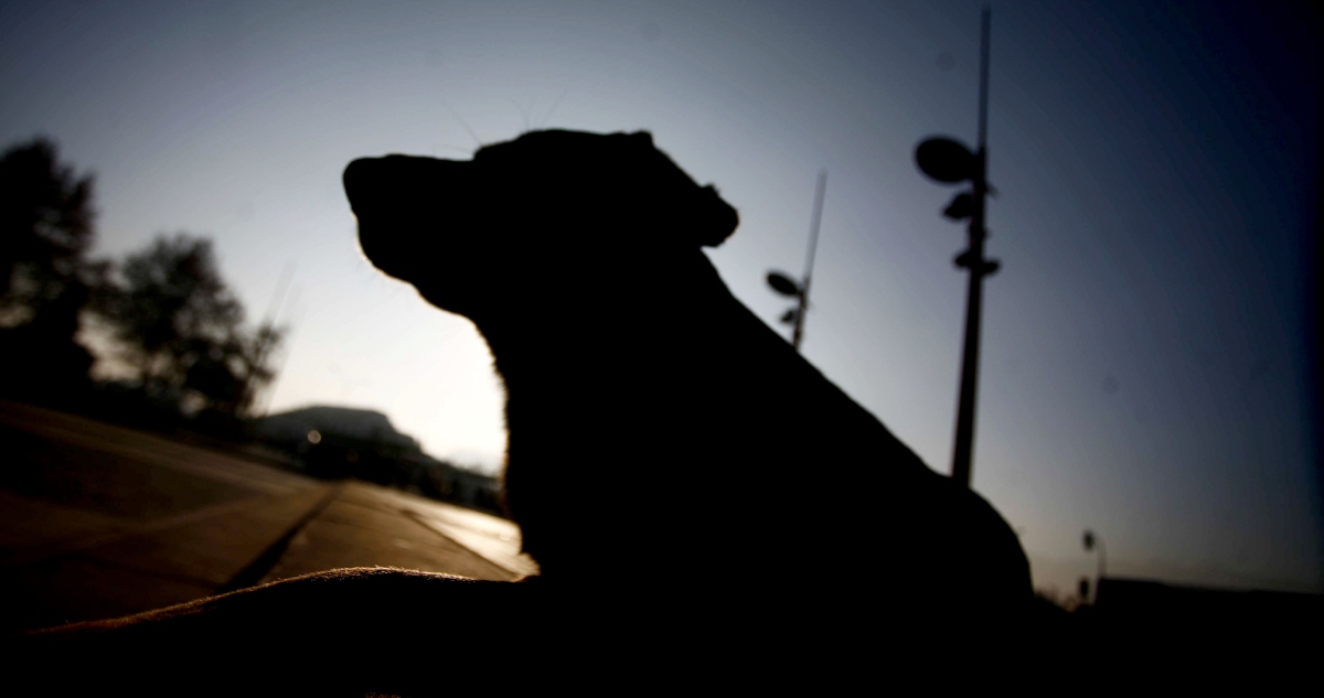 CONTEXTO | Agencia UNO