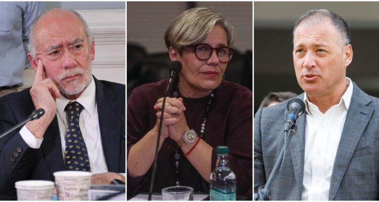 Parlamentarios insisten en críticas a subsecretaria Leitao apuntando a su inexperiencia