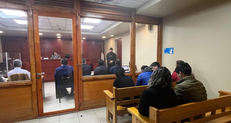 Suspenden formalización de clan familiar vinculado a robo de madera: ganaron cerca de $13 mil millones