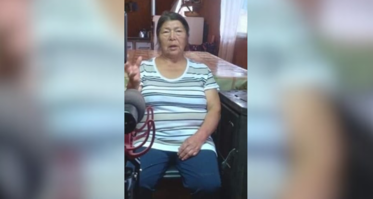 Buscan intensamente a adulta mayor extraviada en límite de comunas de Los Lagos y Máfil