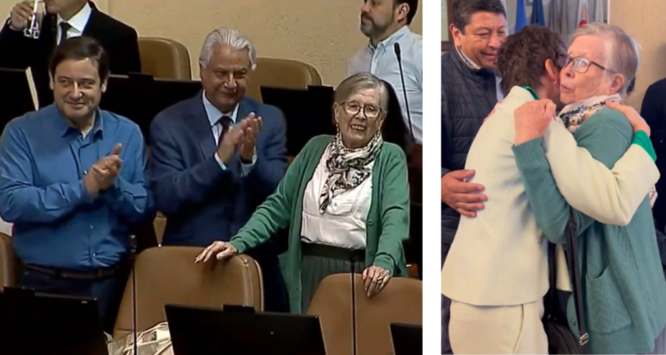 Así fue la última aparición de Mercedes Bulnes en el Congreso para votar en AC contra Tohá