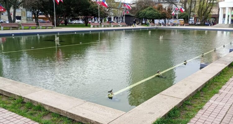 Municipio evalúa liquidar contrato de empresa a cargo de mejoramiento de pileta de plaza de armas