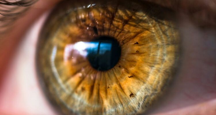 Foto de un ojo de cerca para ilustrar el primer tratamiento del mundo con células madre reprogramadas está devolviendo la visión a las personas