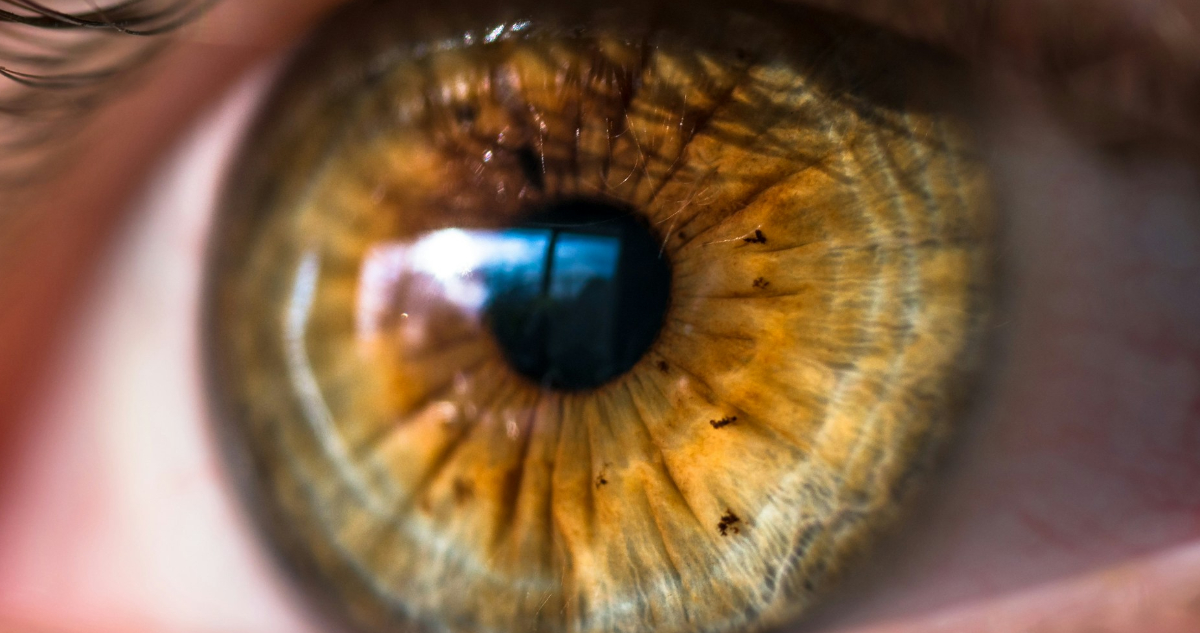 Foto de un ojo de cerca para ilustrar el primer tratamiento del mundo con células madre reprogramadas está devolviendo la visión a las personas