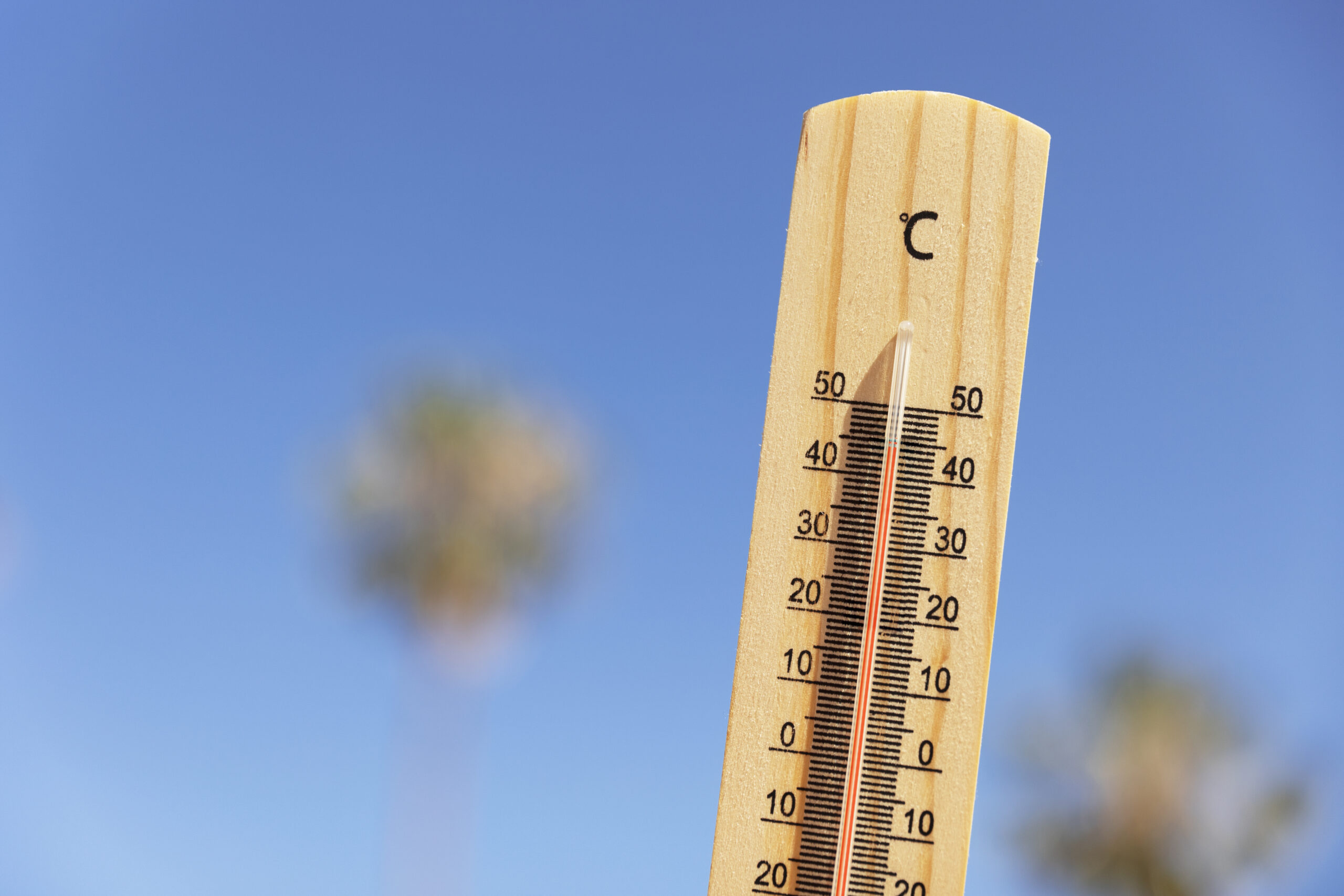 Declaran alerta preventiva de incendio por temperaturas hasta 32 °C y fuertes vientos en la capital