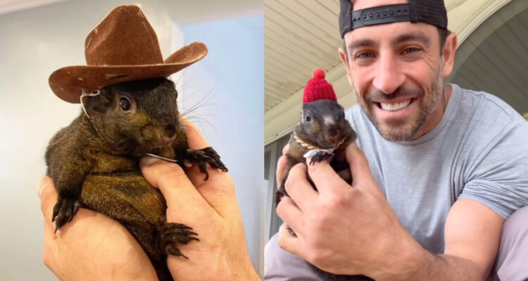 Fotos de Peanut the squirrel y su dueño