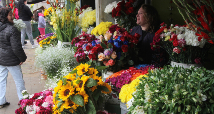 pérgola de las flores valdivia
