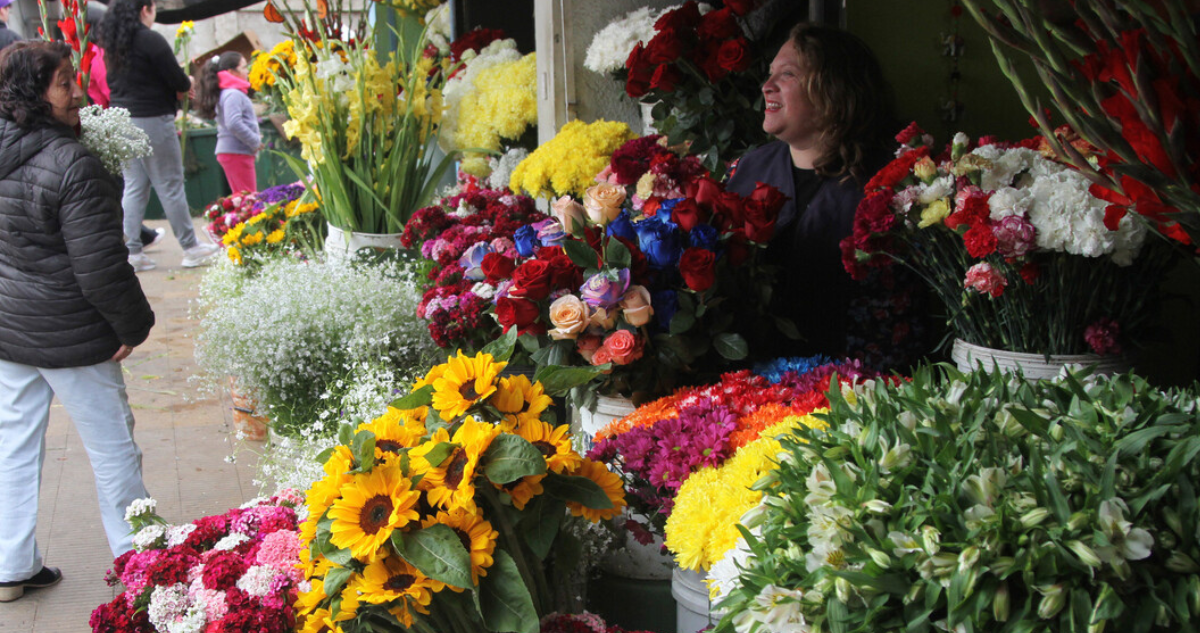pérgola de las flores valdivia