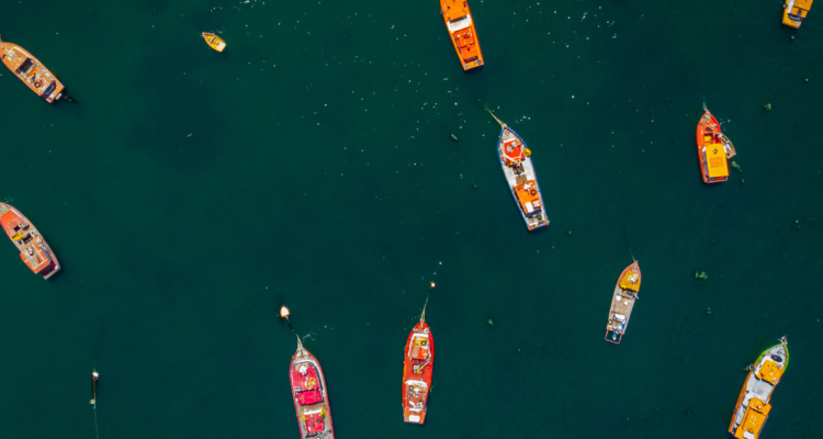 Pescadores artesanales serán los nuevos administradores de la Caleta Huiro en Corral