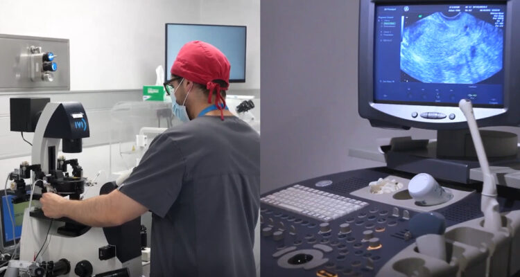 ¿Qué es la ovodonación? El tratamiento que ayuda a las mujeres a ser madre a los 40 años