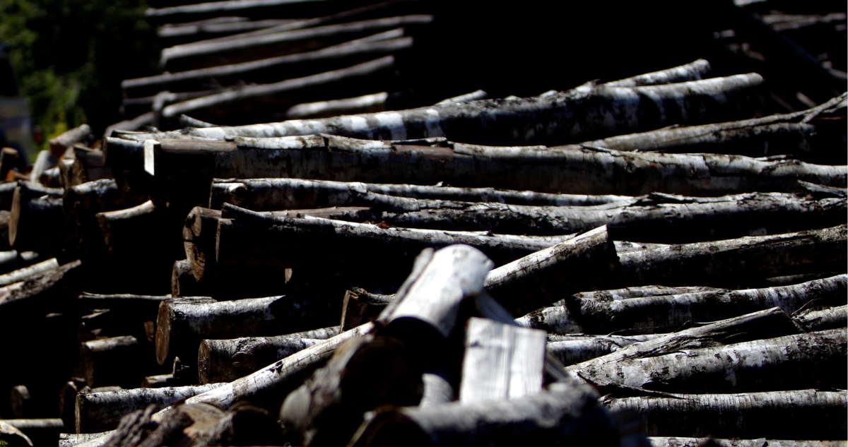 Robo de madera relacionado a clan familiar