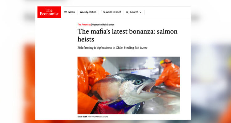 The Economist publica del robo de salmón en Chile y que en Bío Bío mafias cambiaron madera por pescado