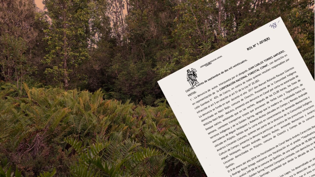 Hoja de sentencia del Juzgado de Policía Local de Castro con bosque atrás