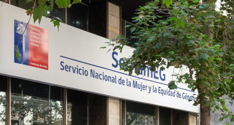 Gobierno fija para diciembre publicación de concurso para dirección del Sernameg Los Ríos