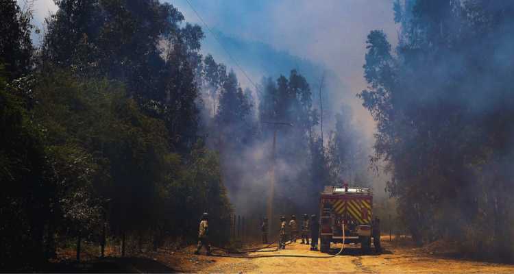 Conaf activa ’botón rojo’ entre Coquimbo y La Araucanía por alta probabilidad de incendios forestales