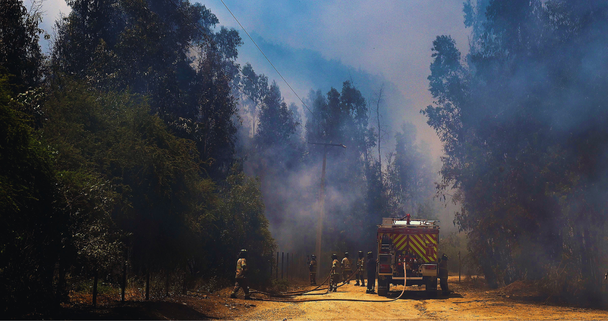 Conaf activa ‘botón rojo’ entre Coquimbo y La Araucanía por alta probabilidad de incendios forestales