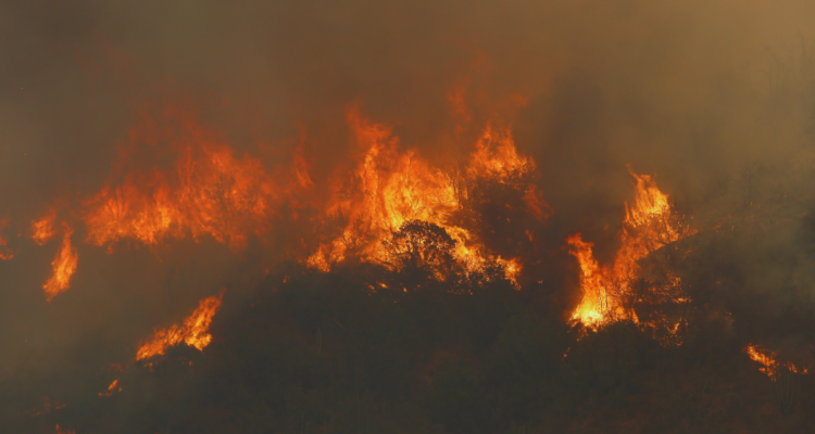 Senapred mantiene alerta roja en la comuna de Navidad por incendio forestal