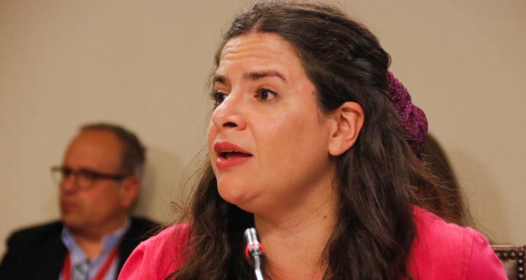 Diputadas de oposición piden remoción de la ministra Orellana de la Comisión de Mujeres de la OEA