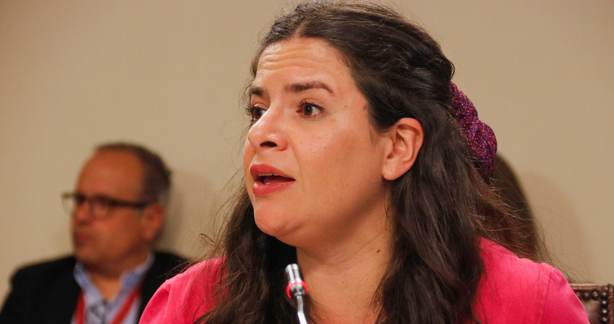 Diputadas de oposición piden remoción de la ministra Orellana de la Comisión de Mujeres de la OEA