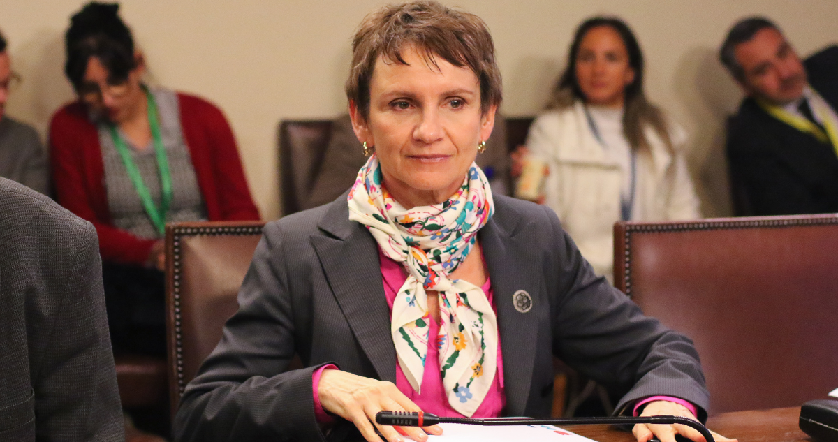 CEI por Caso Monsalve resuelve como primeras medidas citar a Tohá y enviar cuestionario a Boric