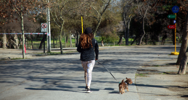 Condena a clínica veterinaria a pagar $4,5 millones por muerte de mascota
