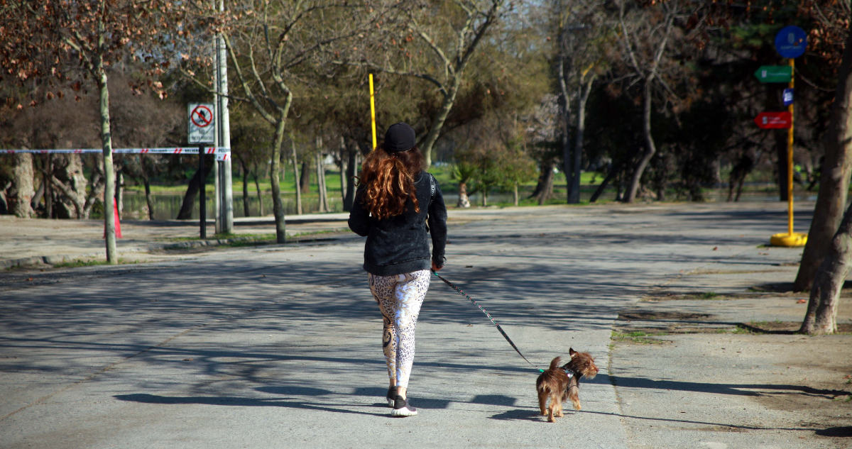 Condena a clínica veterinaria a pagar $4,5 millones por muerte de mascota