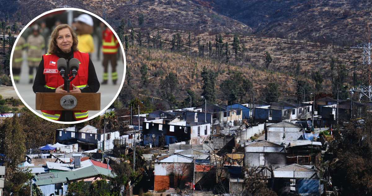 Directora de Conaf por detención de funcionarios: “Ellos sabían el daño que causaban a sus compañeros”