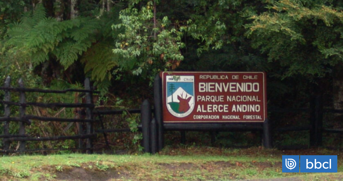 Parque Nacional Alerce Andino Cumple 42 A os De Existencia rea Parque Nacional Alerce Andino Cumple 42 A os De Existencia rea