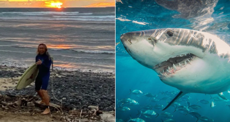 Surfista sufre amputación de su pierna derecha enfrentando a tiburón en las costas de Hawaii