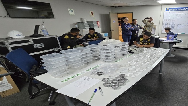 Detienen a hombre que intentó salir de Perú con 320 tarántulas pegadas a su cuerpo