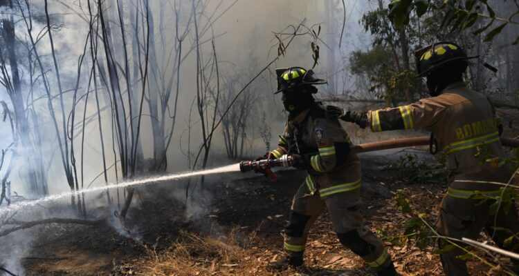 Parlamentarios exigen recursos y logística para afrontar temporada de incendio en región de Valparaíso