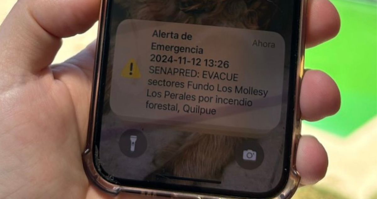 Alertas SAE