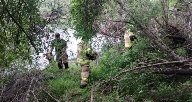 Desaparecido Río Cruces