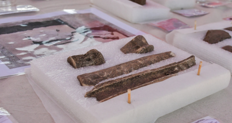 Hallazgos arqueológicos Monte verde