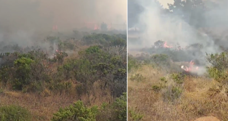 Incendio forestal Laguna Verde