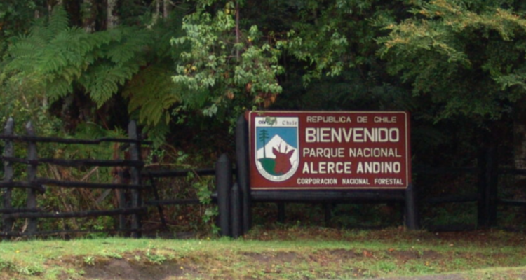 Parque Nacional Alerce Andino