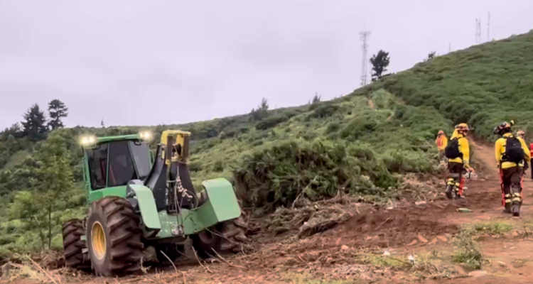 Ejecutan trabajos de cortafuegos ante temporada de incendios forestales en Padre Las Casas