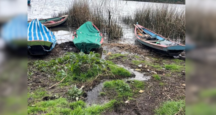 Minsal declara zona de riesgo sanitario para Puerto Domínguez por aguas servidas en Lago Budi