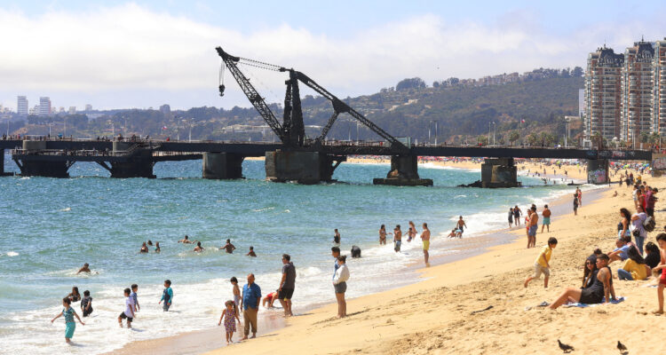 Traspaso de las concesiones marítimas a ministerio de bienes nacionales