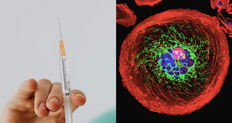 Vacuna para cáncer de mama