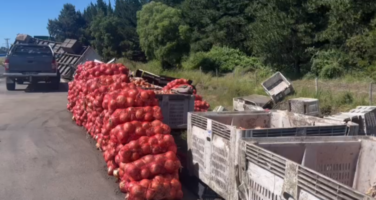 Volcamiento de camión en dirección a Los Ángeles