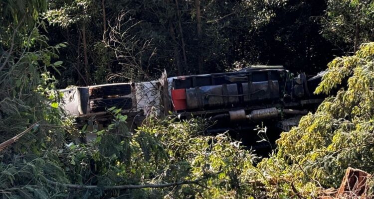 Camión que trasladaba a brigadistas de Conaf vuelca en Tomé: hay 11 lesionados