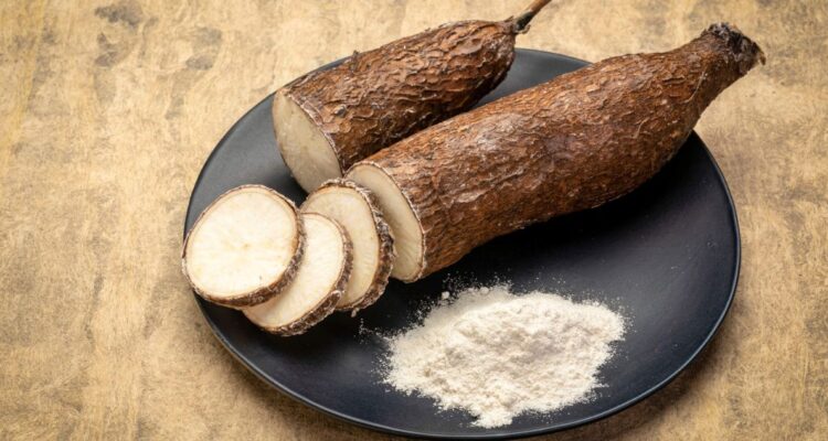 Yuca
