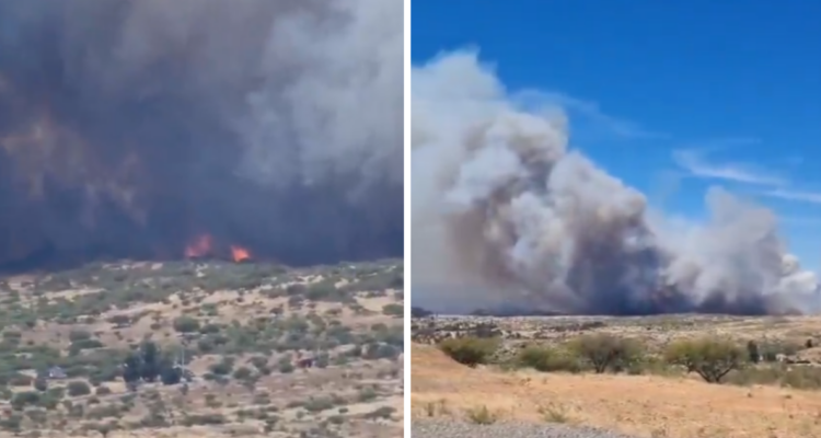 7 viviendas y 430 hectáreas se han visto afectadas por incendio forestal en Litueche: sigue en combate