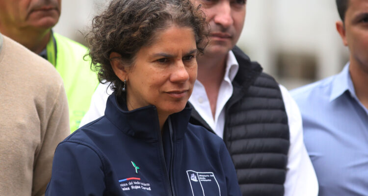 Ministra Rojas por fallo de proyecto Dominga: “Respetamos las decisiones de otro Poder del Estado”