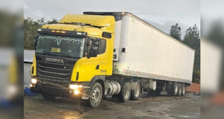Roban camión que transportaba 22 toneladas de salmón con destino a Puerto varas