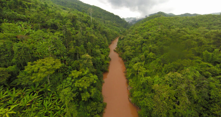 Alerta por avance del crimen organizado en la Amazonía. Chile debe preocuparse
